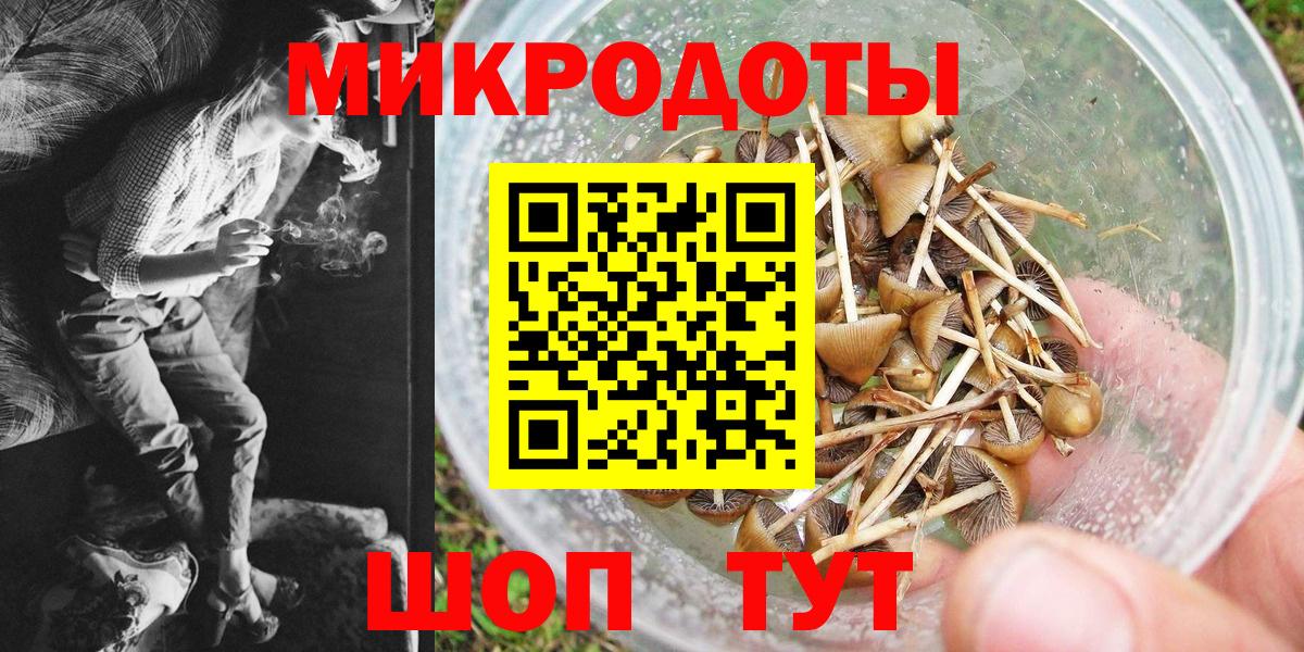 наркота  Псилоцибиновые грибы GOLDEN TEACHER  Вход с VPN  Канск  Галлюциногенные грибы MAGIC MUSHROOMS 