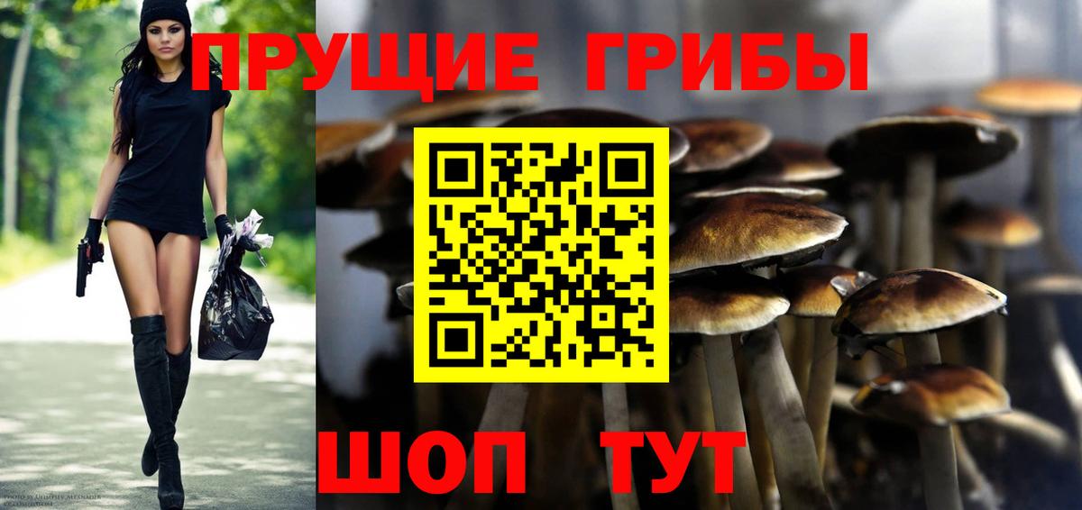 Галлюциногенные грибы Magic Shrooms Канск